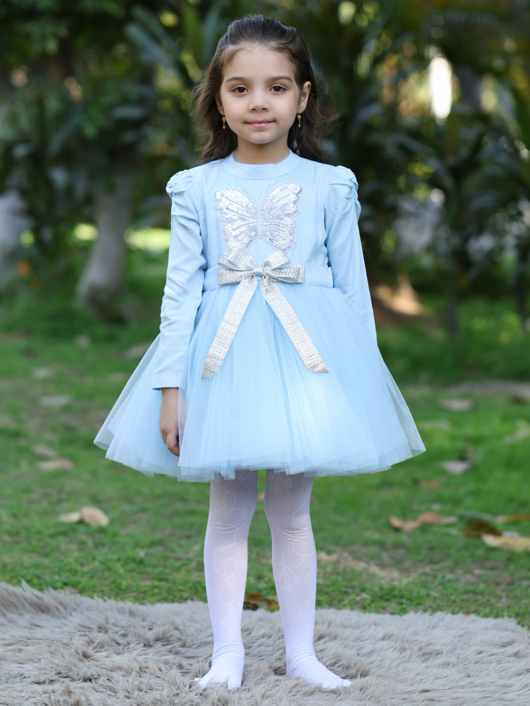 Blue Butterfly Dress