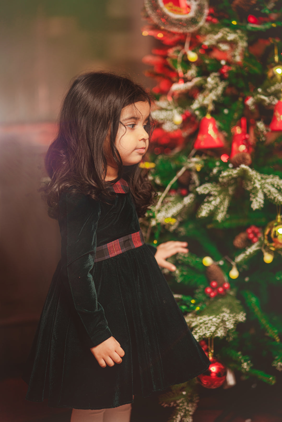 JANE DRESS - The Pony & Peony Co.